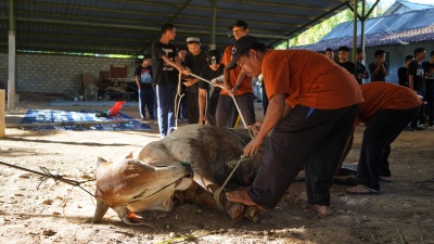 Jadikan Momen Qurban 1446H sebagai Wadah Pembelajaran dan Penguatan Akhlak Siswa
